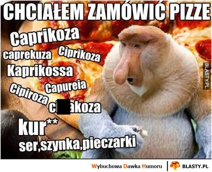 Mem z nosaczem sundajskim i pizzami o zniekształconych nazwach, podpis Chciałem zamówić pizzę